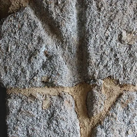 Auberge de jeunesse Casa Do Pinheiro *