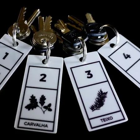 Auberge de jeunesse Casa Do Pinheiro Lagares da Beira